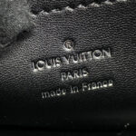 Louis Vuitton Pico GO-14 M24246 Black